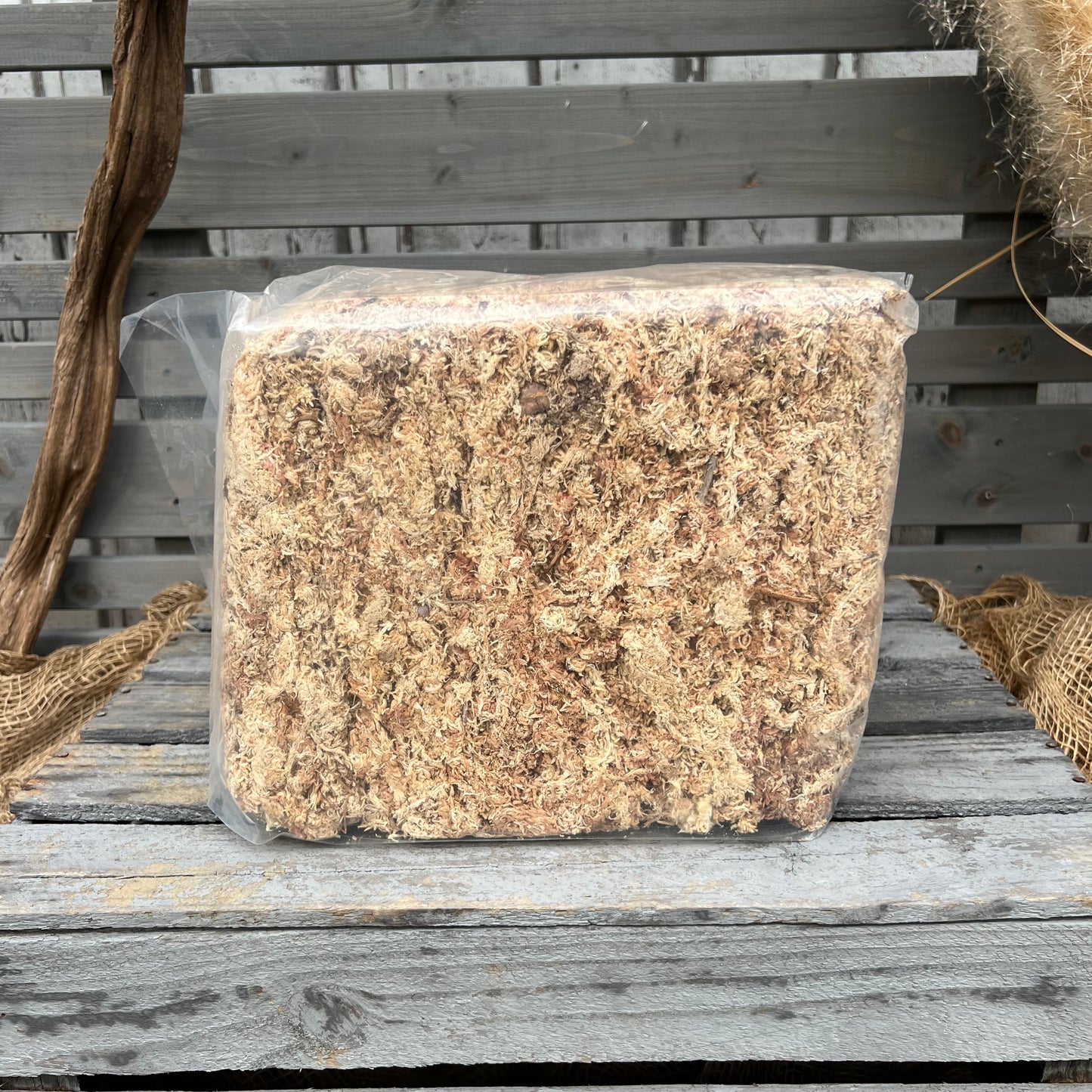 Sphagnum, 500gr Beutel